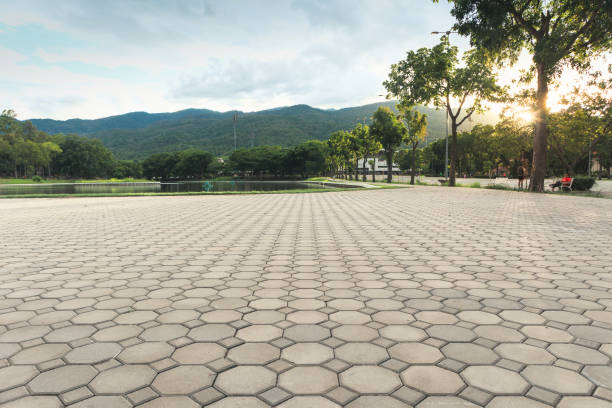 Best Interlocking Driveway Pavers  in Lawrenceville, VA