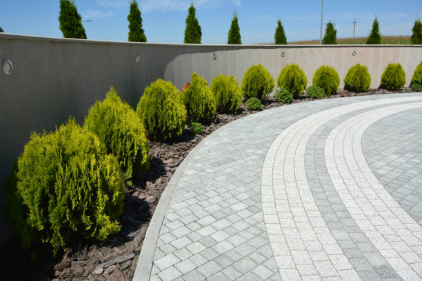 Reasons to Select Us for Your Driveway Paving Requirements in Lawrenceville, VA